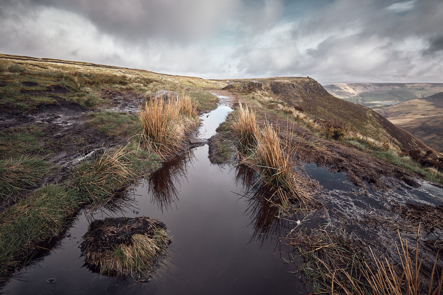 Dovestones